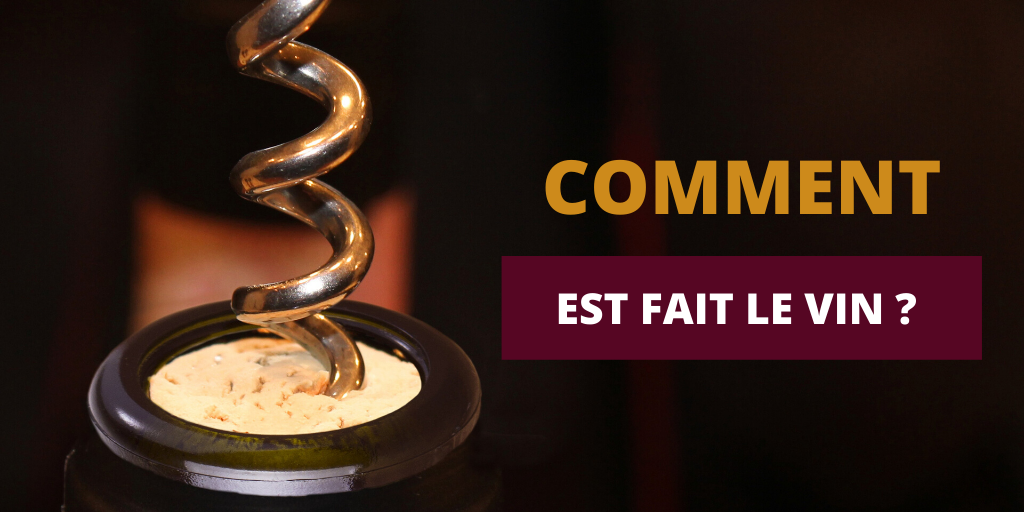 Comment est fait le Vin ?