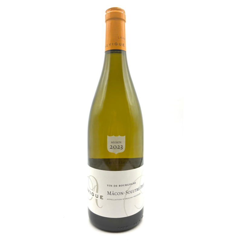 Mâcon Solutré-Pouilly 2023 – Maison Auvigue